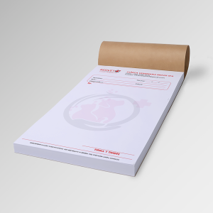 Recetario Médico Veterinario Tamaño 13×21 cm Recetario Médico Veterinario Tamaño 13x21 cm